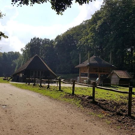 فيلا Reewold Veluwe بوتِنْ المظهر الخارجي الصورة