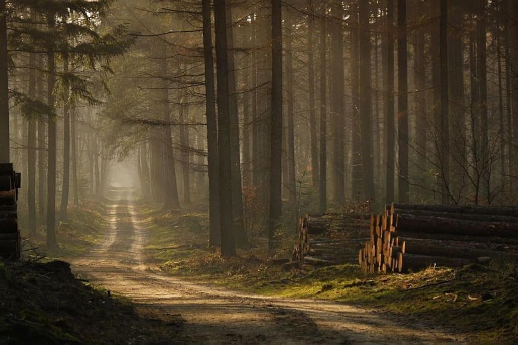فيلا Reewold Veluwe بوتِنْ المظهر الخارجي الصورة