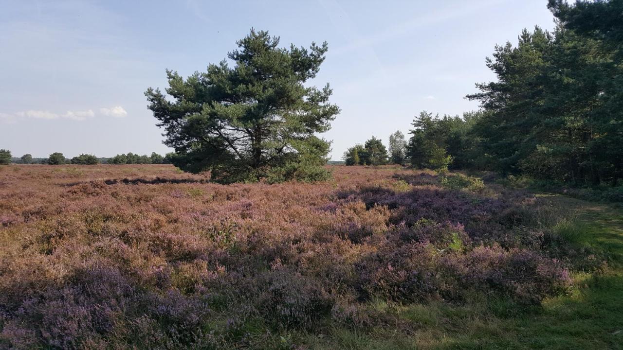فيلا Reewold Veluwe بوتِنْ المظهر الخارجي الصورة