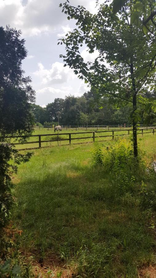 فيلا Reewold Veluwe بوتِنْ المظهر الخارجي الصورة