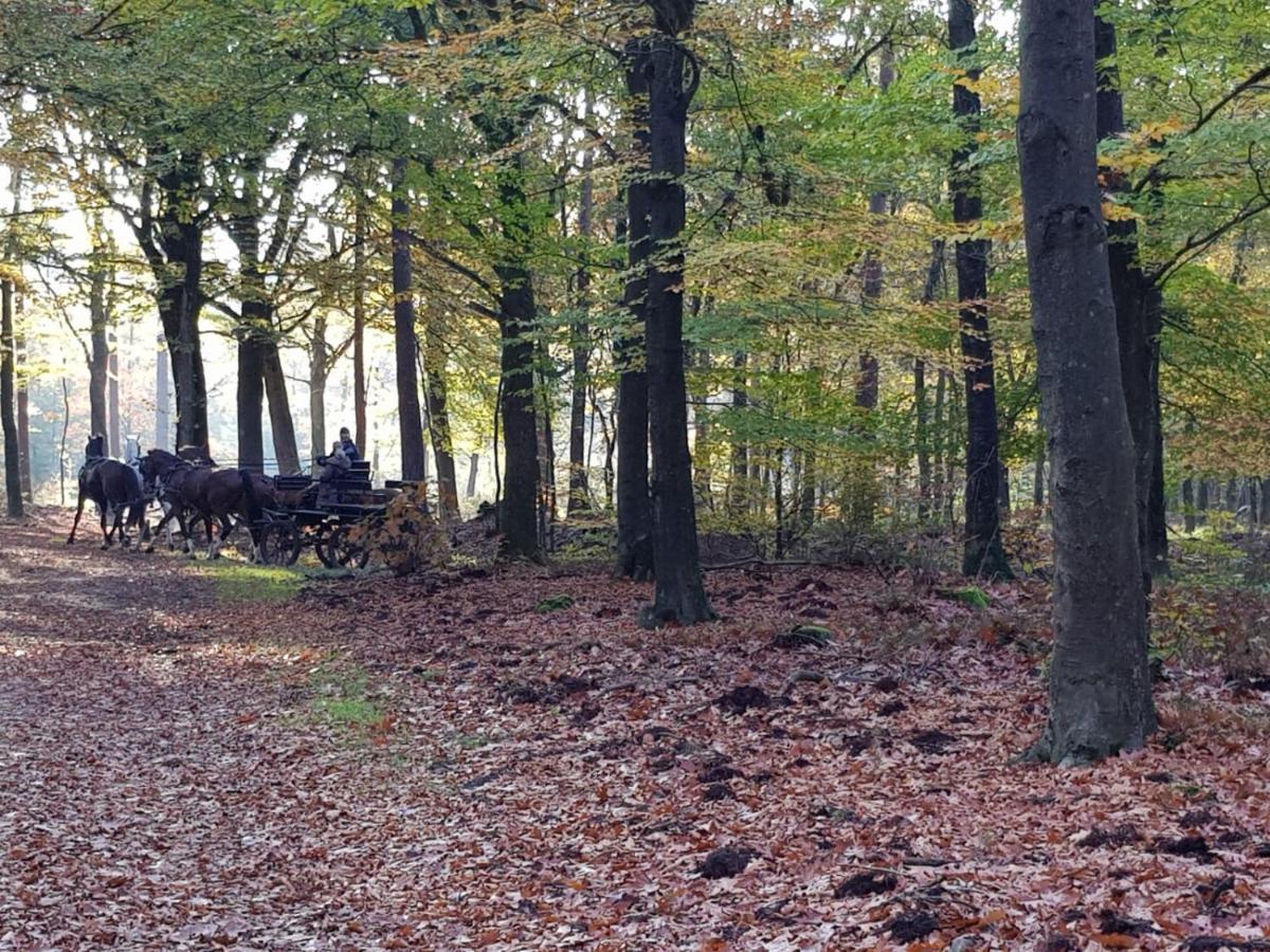 فيلا Reewold Veluwe بوتِنْ المظهر الخارجي الصورة