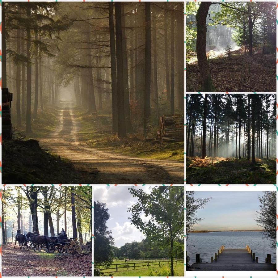 فيلا Reewold Veluwe بوتِنْ المظهر الخارجي الصورة