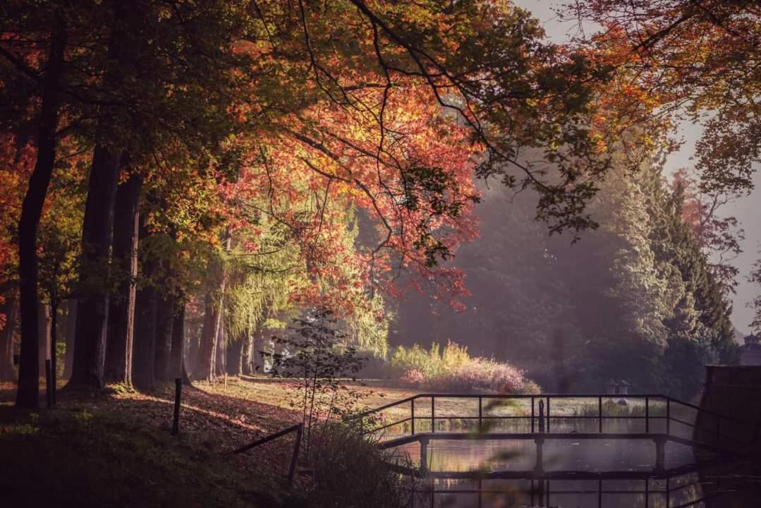 فيلا Reewold Veluwe بوتِنْ المظهر الخارجي الصورة
