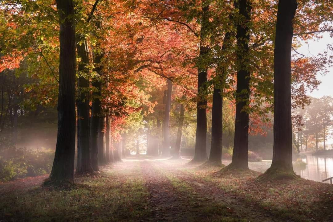 فيلا Reewold Veluwe بوتِنْ المظهر الخارجي الصورة
